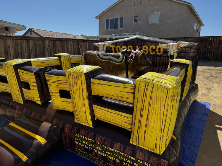 Interactive Interactive